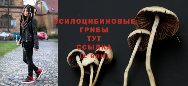 не бодяженный Балахна