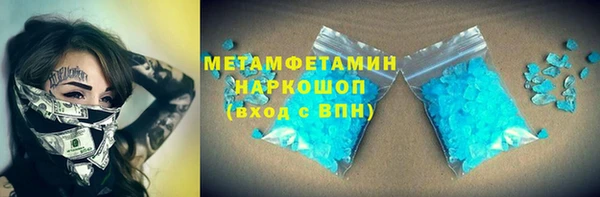 хмурый Аркадак