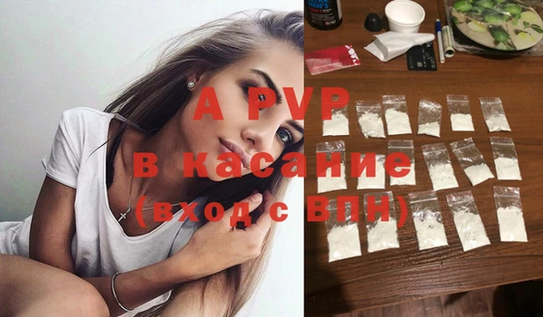 хмурый Аркадак