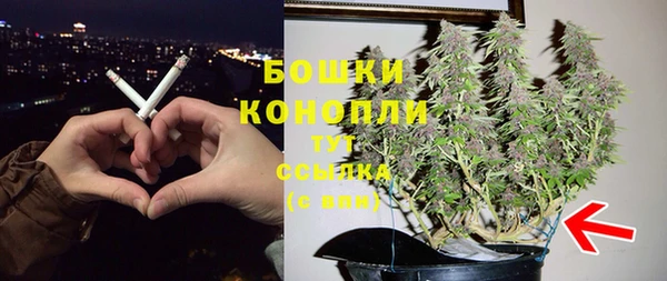 шишки Арсеньев